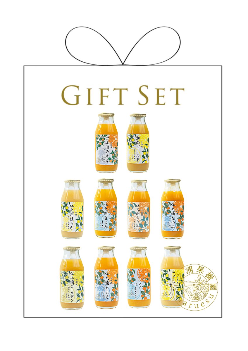 数量限定 極上プレミアムギフト】小田原づくし10種のみくらべ10本