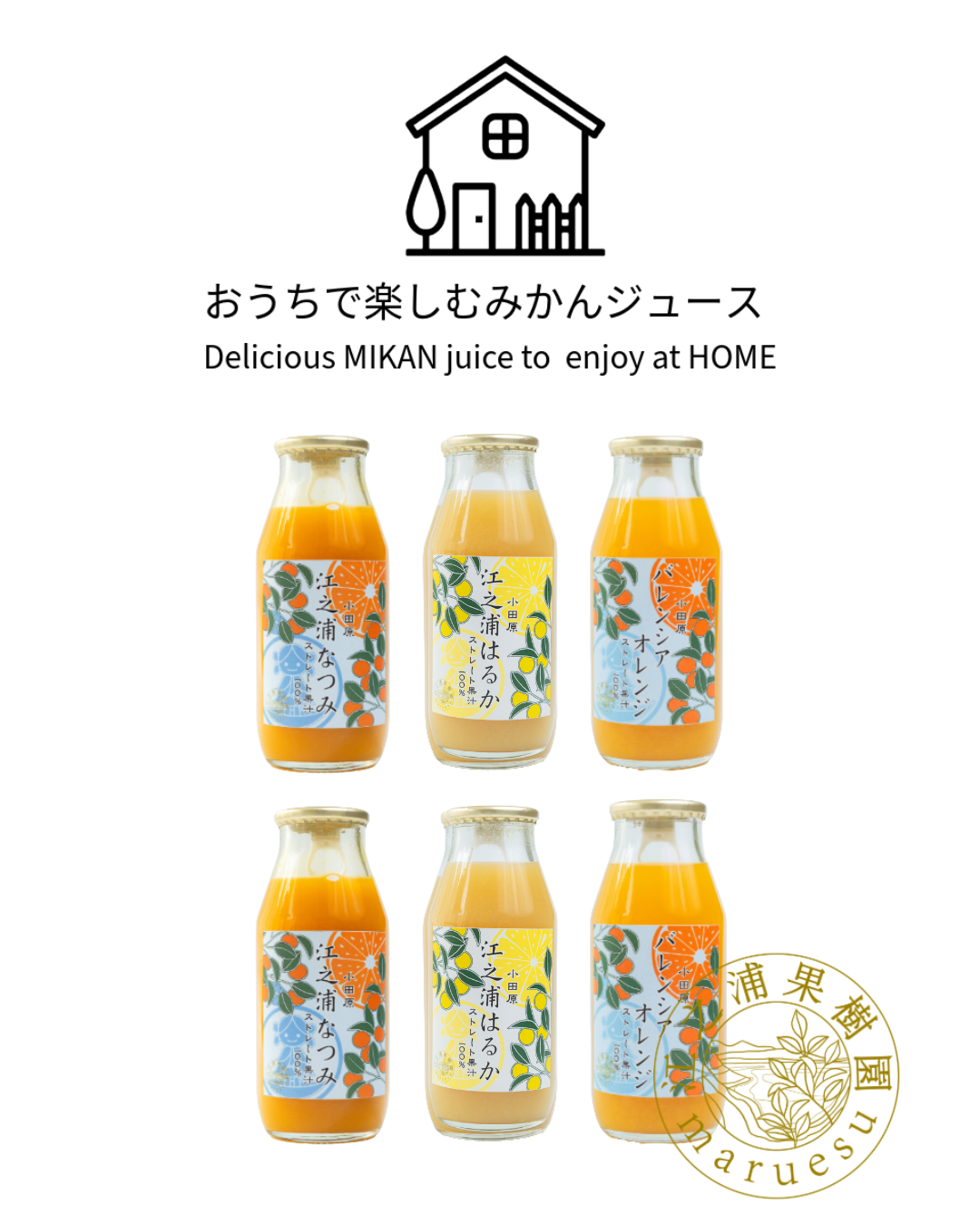 おうちで楽しむききみかんセット】江之浦“新”三役 6本セット | 江之浦