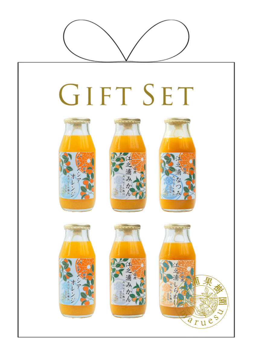 夏のおすすめギフト④】小田原づくし4種のみくらべ6本ギフト | 江之浦