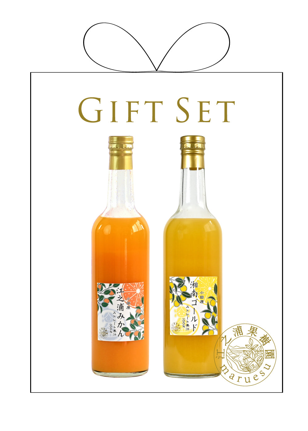 おすすめギフト⓵】江之浦みかんと湘南ゴールド 500ml 2本入りギフト