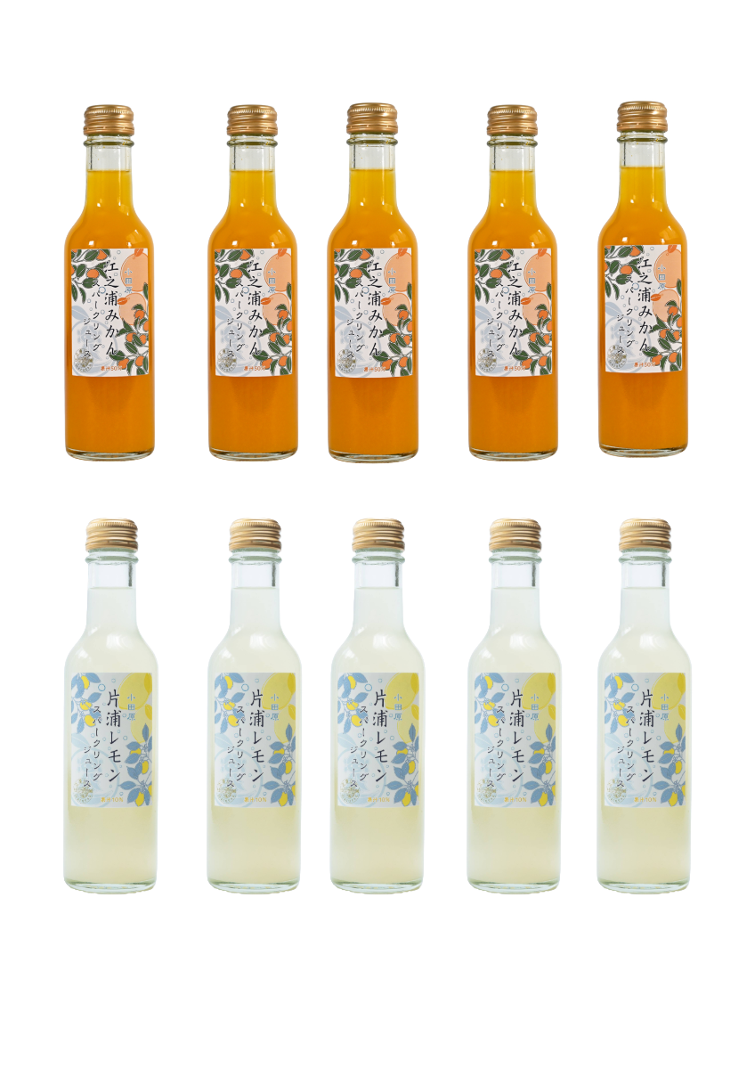 江之浦みかん・片浦レモンスパークリング200ml 10本入り | 江之浦果樹
