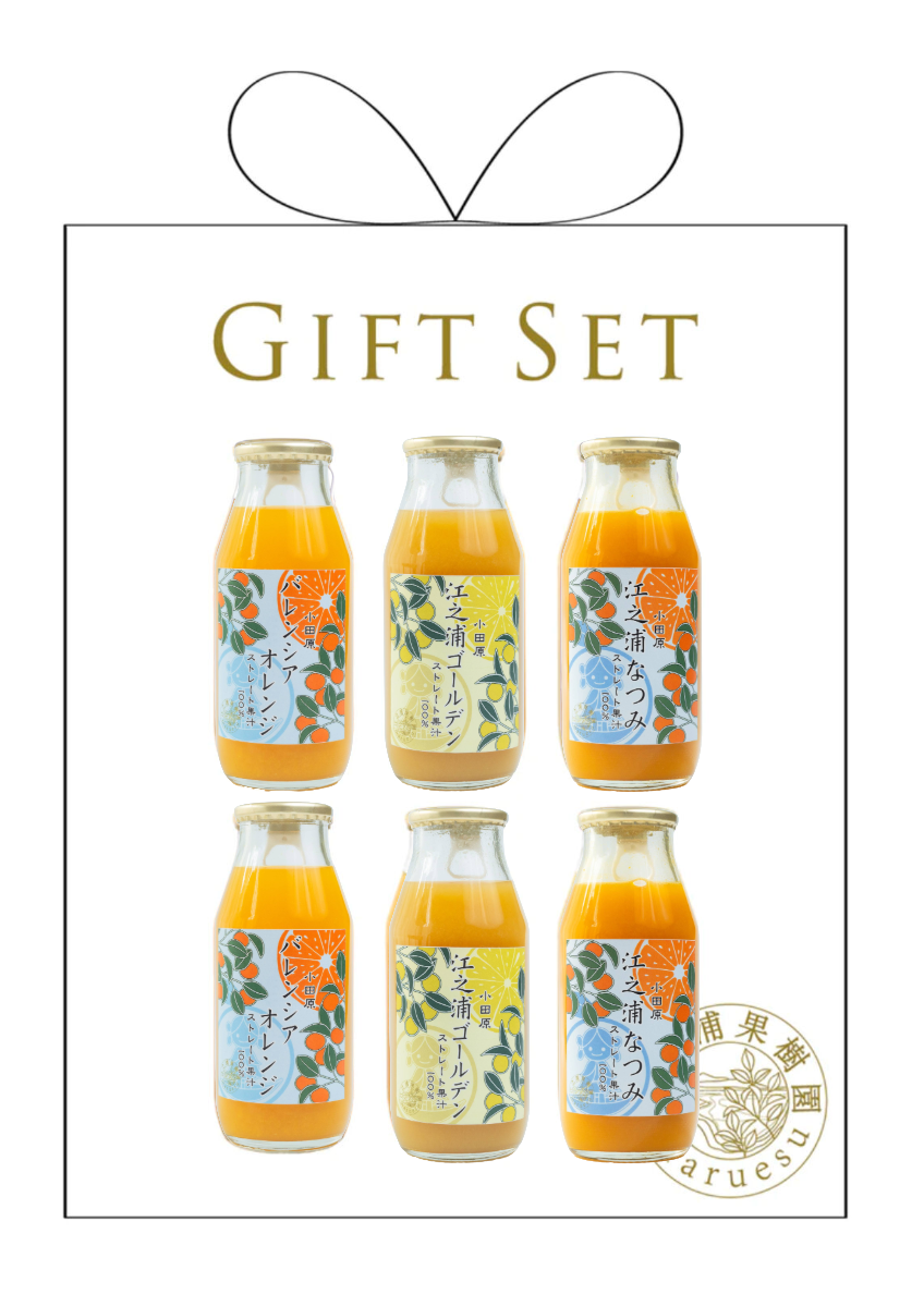 江之浦“新”三役 ギフトセット 3種6本入り | 江之浦果樹園 maruesu