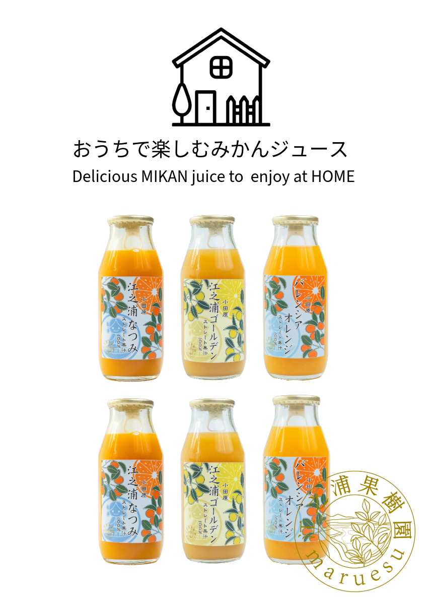 13日発送 彩之助さん専用 おうちで楽しむききみかんセット】江之浦“新”三役 6本セット | 江之浦