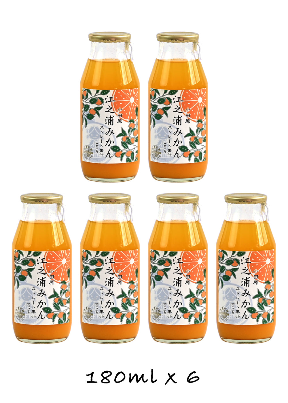 邦楽 SHIGURE with AZUMA YACHT SCHOOL 江之浦みかん180ml 6本入 | 江之浦果樹園 maruesu