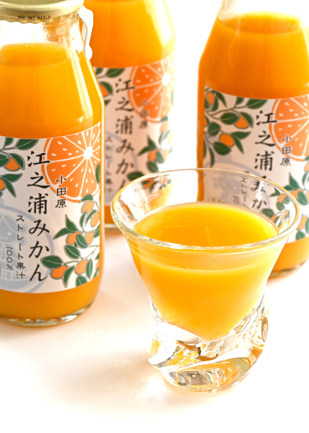 江之浦みかん180ml 12本入 | 江之浦果樹園 maruesu