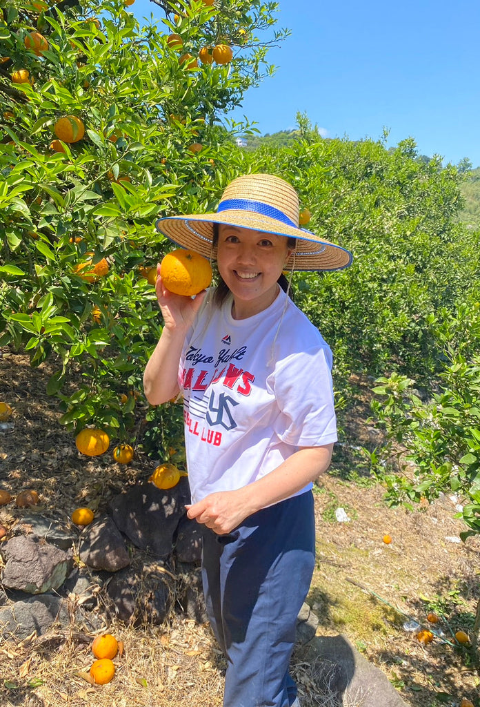 甘夏でキレイに、そして元気百倍に！～甘夏ナツコの物語 最終章