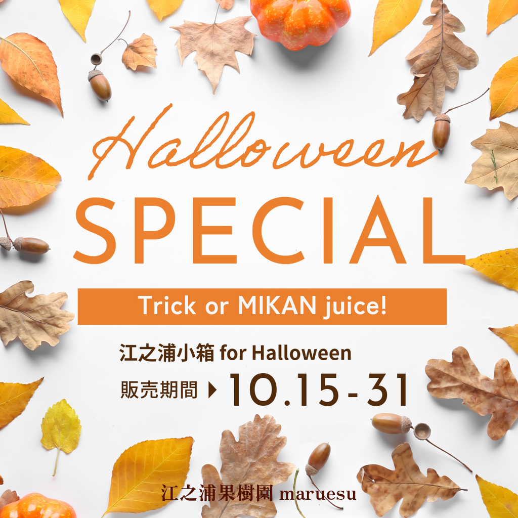 【期間限定/送料無料！】江之浦小箱 for Halloween