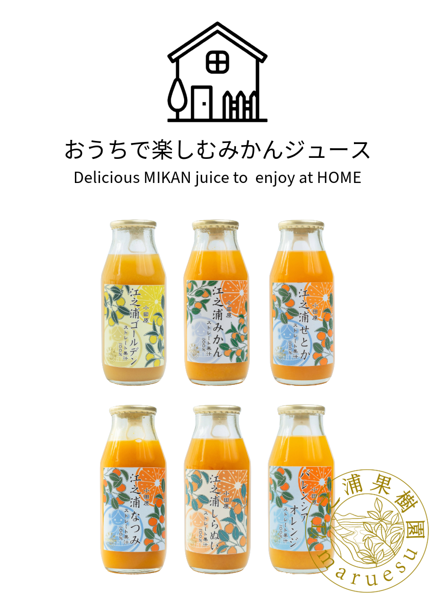 おうちで楽しむききみかんセット】小田原づくし6種6本セット