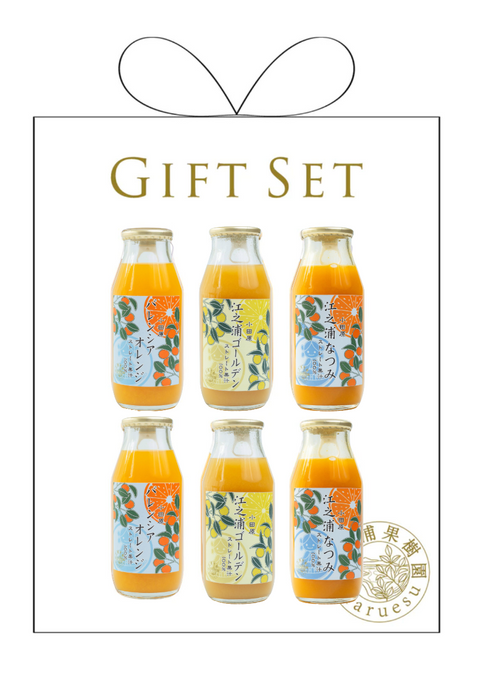 江之浦“新”三役 ギフトセット 3種6本入り | 江之浦果樹園 maruesu