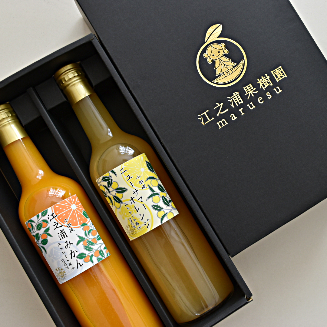 みかん　2本セット 江之浦みかんとニューサマーオレンジ 500ml 2本入りギフトセット