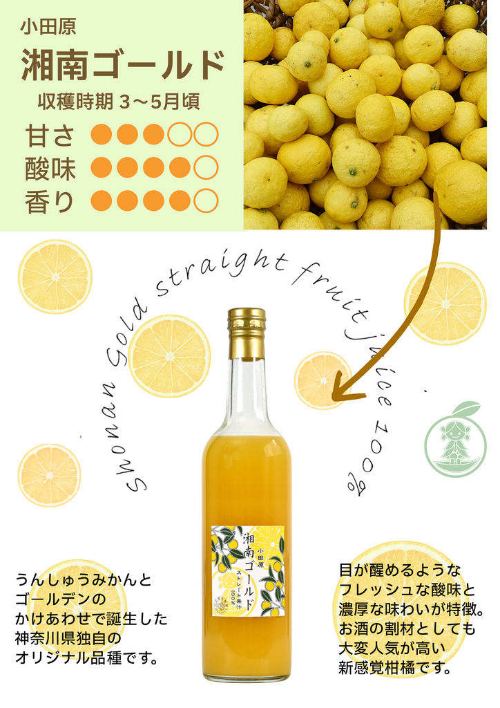 江之浦みかんと湘南ゴールド 500ml 2本入りギフトセット | 江之浦果樹 江之浦みかんと湘南ゴールド 500ml 2本入りギフトセット | 江之浦果樹
