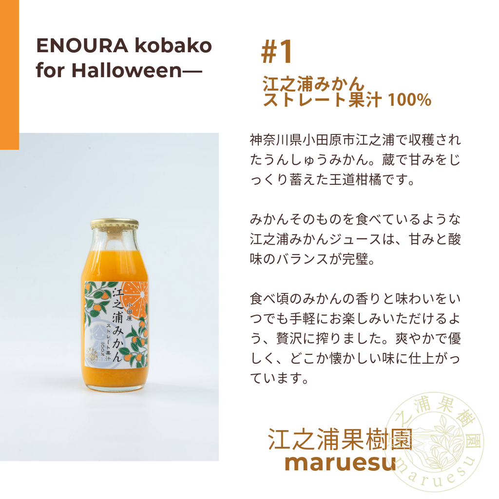 【期間限定/送料無料！】江之浦小箱 for Halloween