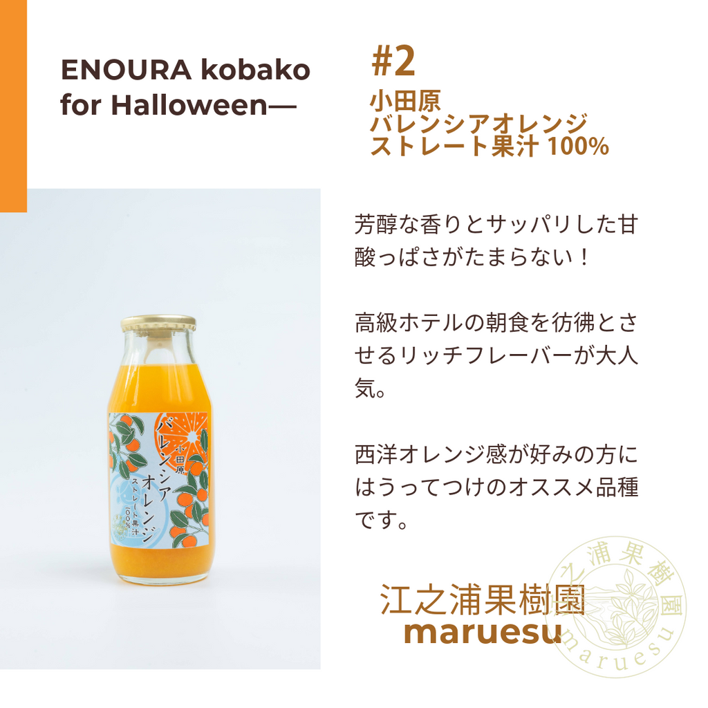 【期間限定/送料無料！】江之浦小箱 for Halloween