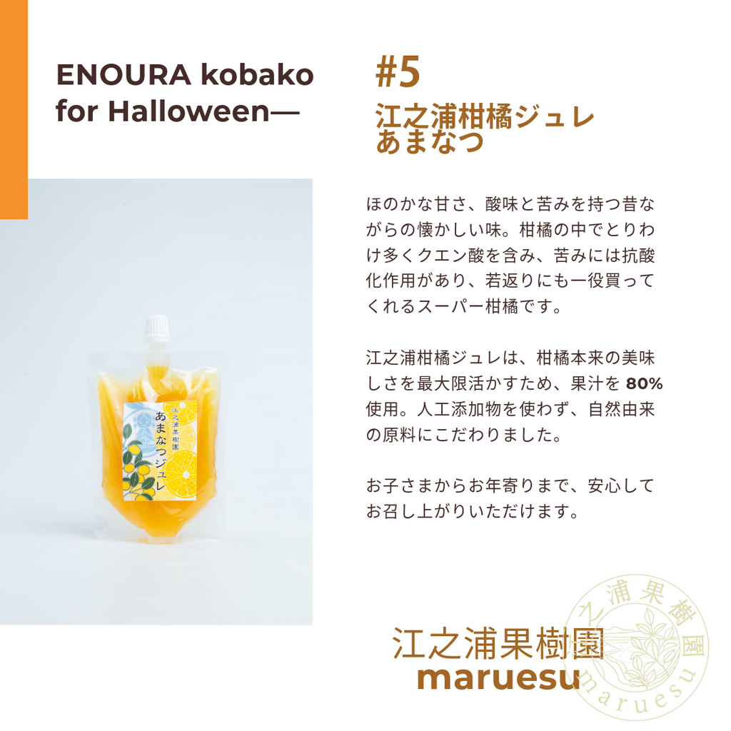 【期間限定/送料無料！】江之浦小箱 for Halloween