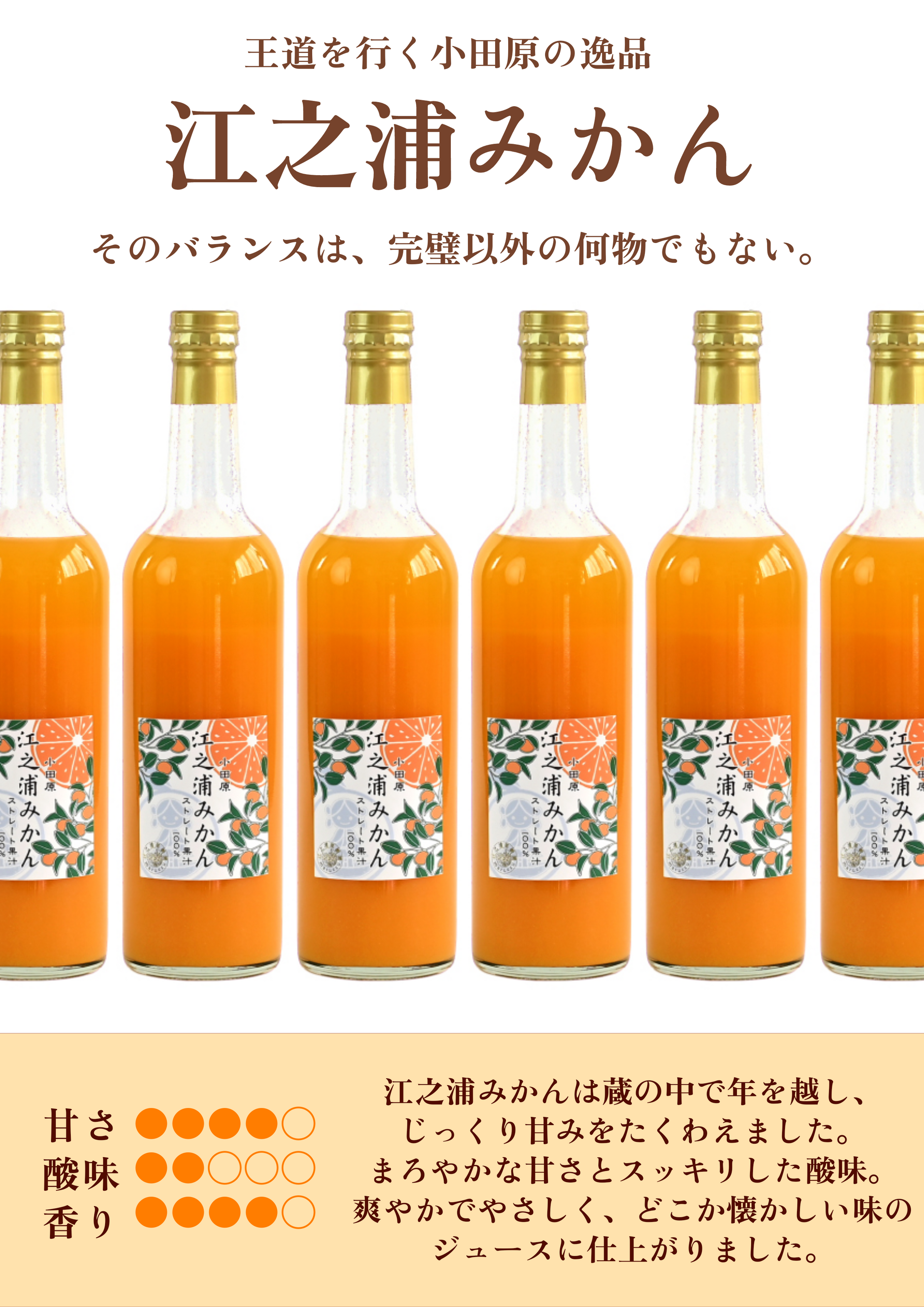おすすめギフト⓵】江之浦みかんと湘南ゴールド 500ml 2本入りギフト おすすめギフト⓵】江之浦みかんと湘南ゴールド 500ml 2本入りギフト
