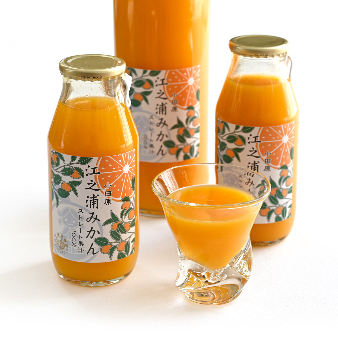 akareaさん専用　扁鵲の長兄 オレグRセット おすすめギフト⓶】江之浦みかん 500ml 2本入りギフトセット | 江之浦