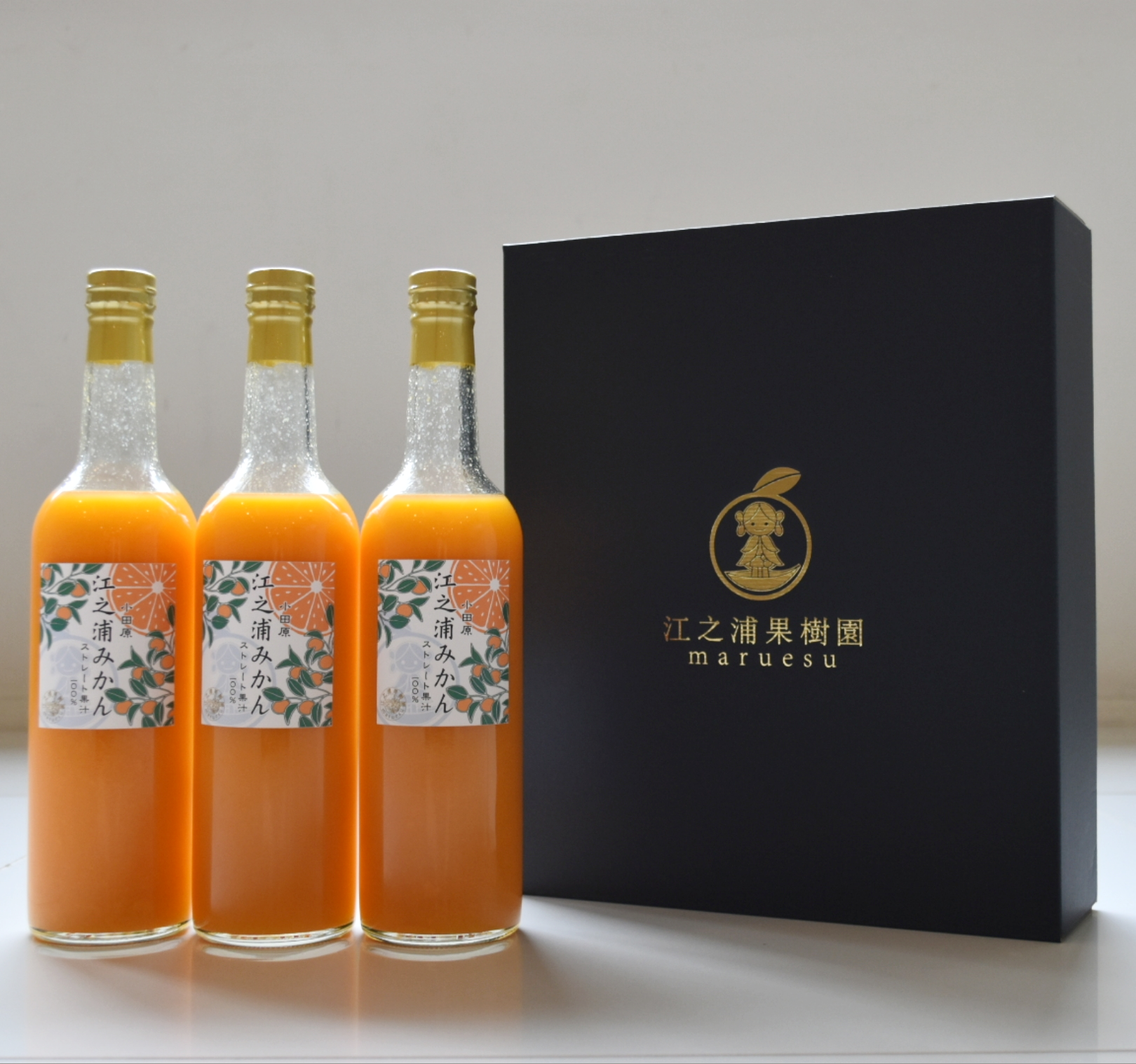 おすすめギフト⓷】江之浦みかん500ml 3本入りギフトセット | 江之浦