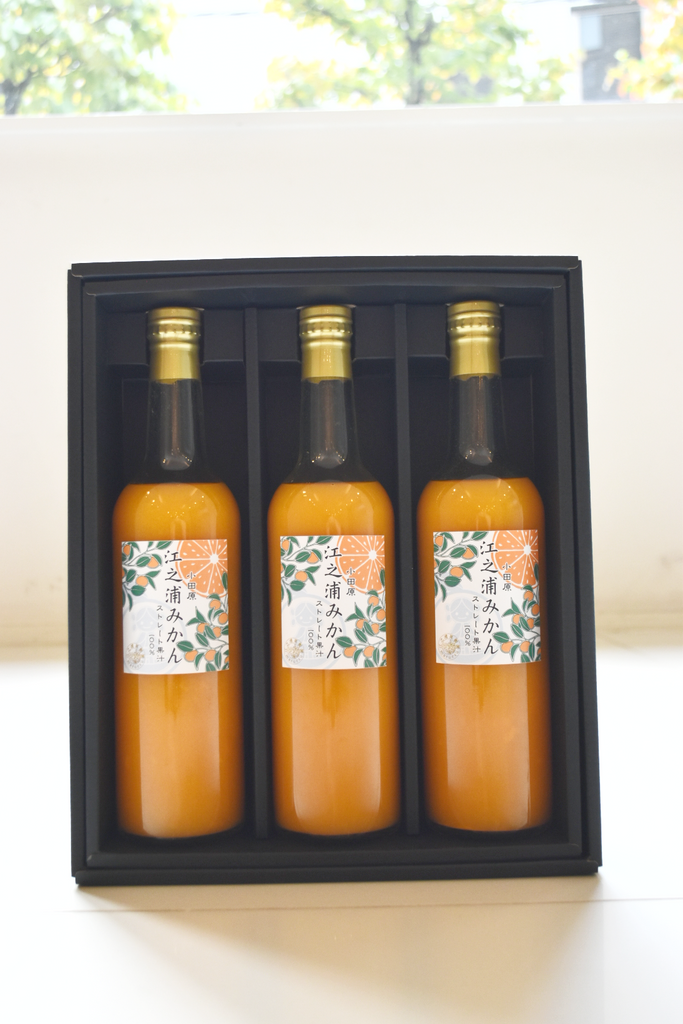 江之浦みかん500ml 3本入りギフトセット