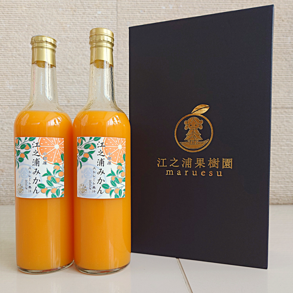 江之浦みかん 500ml 2本入りギフトセット